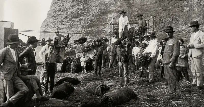 Empaquetados de plátanos